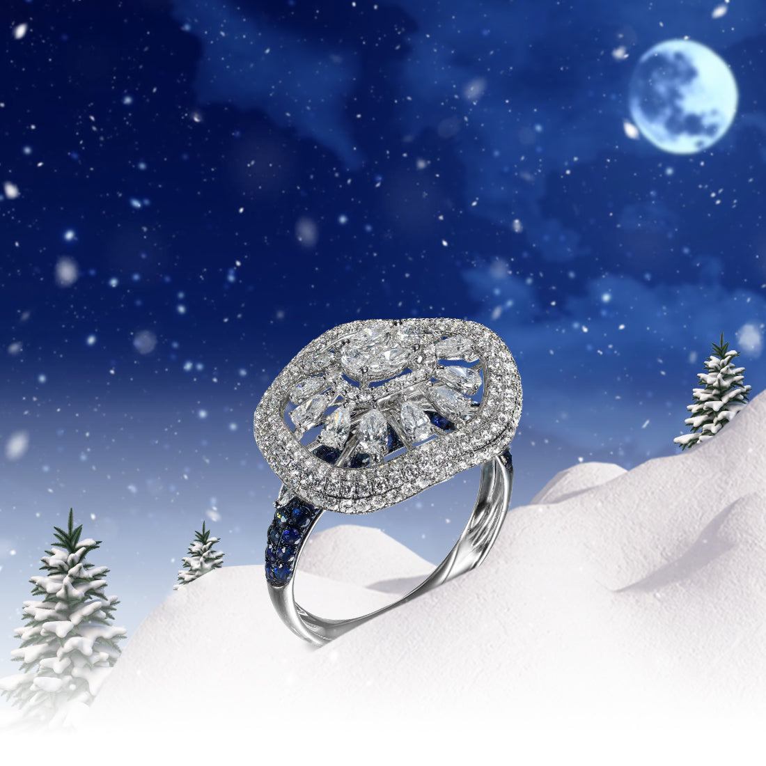 Winter Jewels image
